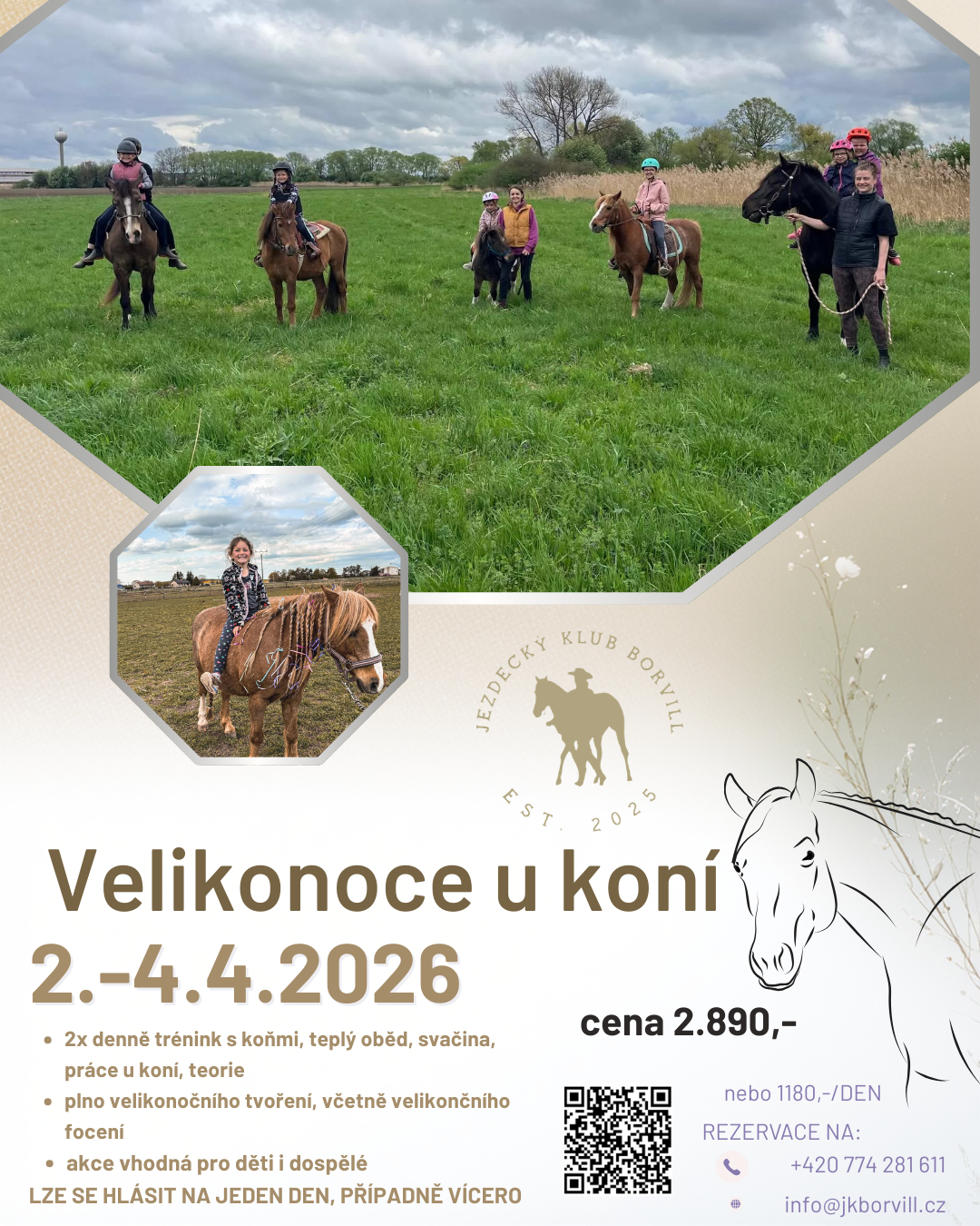 Více informací níže